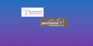 Is AI-Engineered HMBD-002 the Next Big Immunotherapy? Hummingbird…