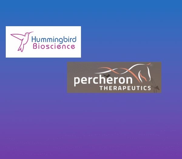 Is AI-Engineered HMBD-002 the Next Big Immunotherapy? Hummingbird…